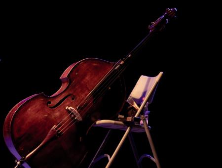 Stefan Milenkovich-4